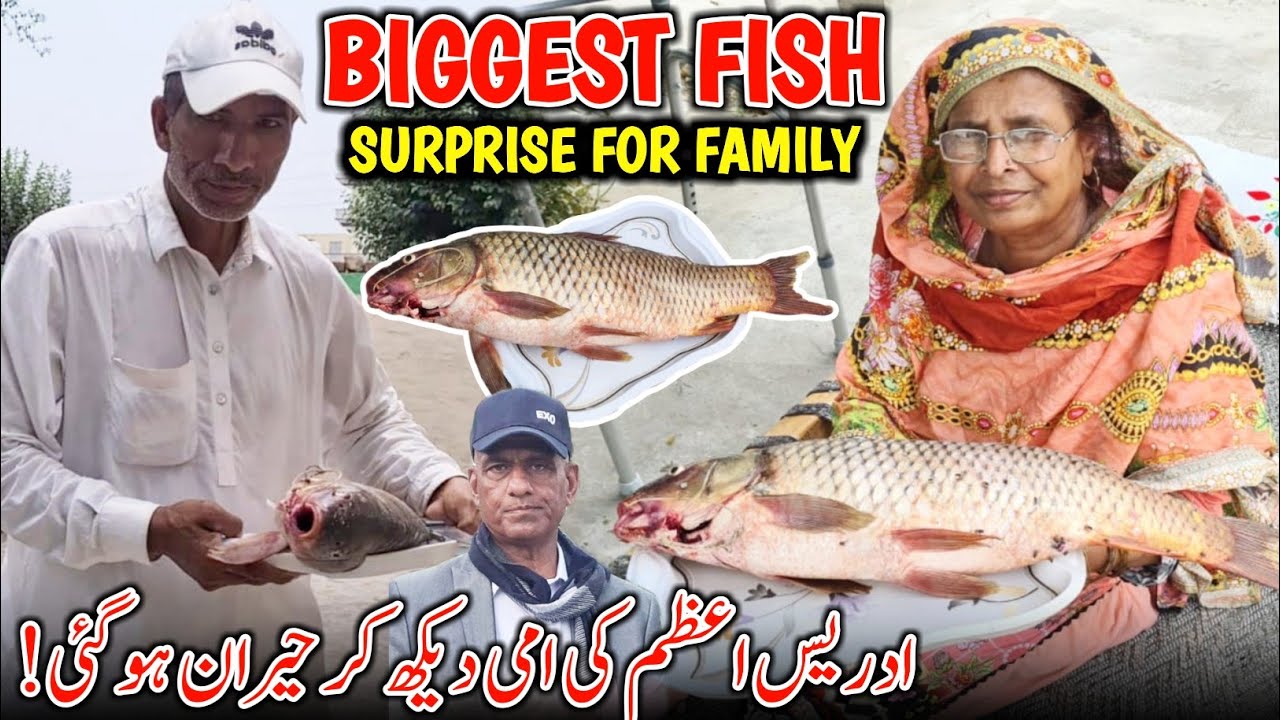 Abu Jan Surprise All Family With Biggest Mangla Dam Fish 😍 Idrees Azam Parents Shocked ||Family Vlog