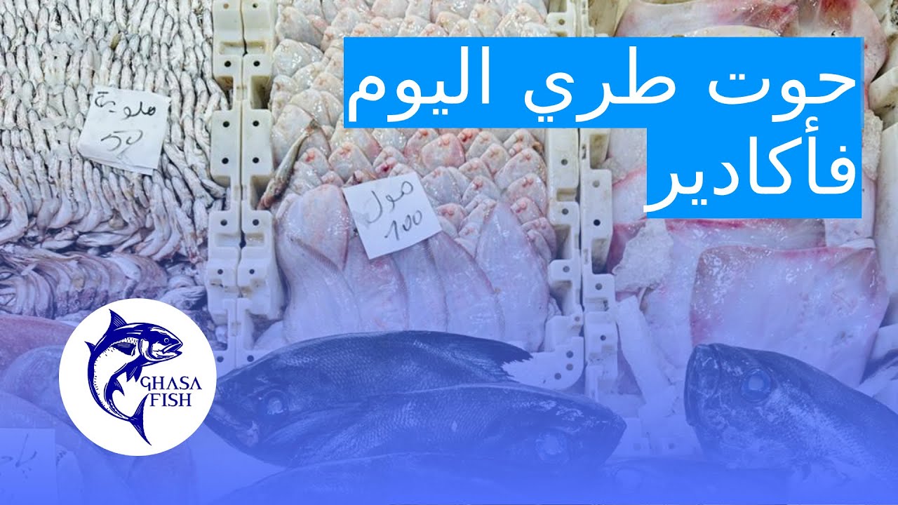 أثمنة السمك 🦐 اليوم الأربعاء 11 فبراير 2026 