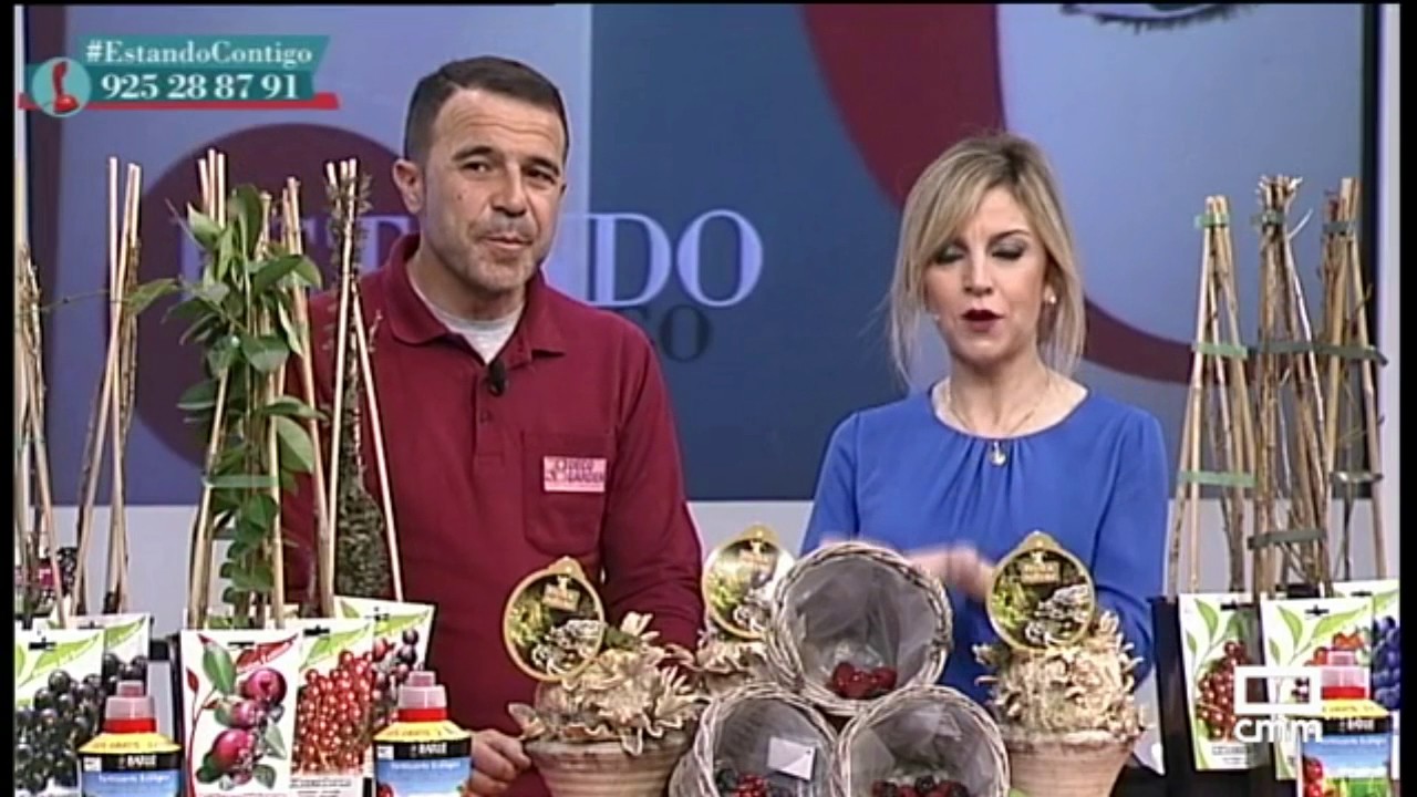 Hoy plantamos en su jardín, frutos del bosque