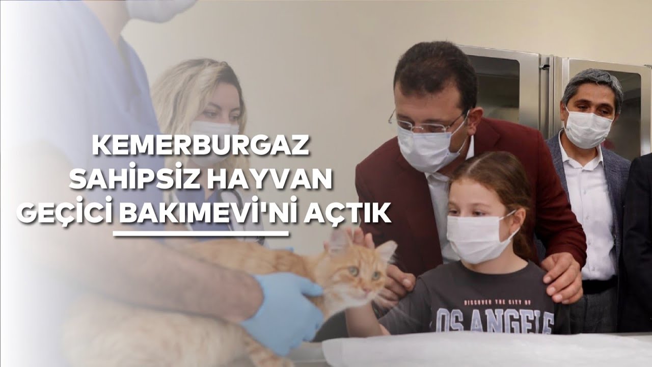 Yenilenen Kemerburgaz Ge&ccedil;ici Sahipsiz Hayvan Bakımevi&rsquo;ni a&ccedil;ıyoruz.