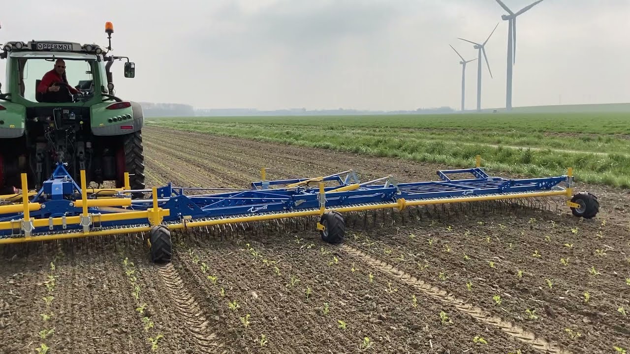 Treffler technology, not only windmills of our imagination, but reliable mechanical weed control.