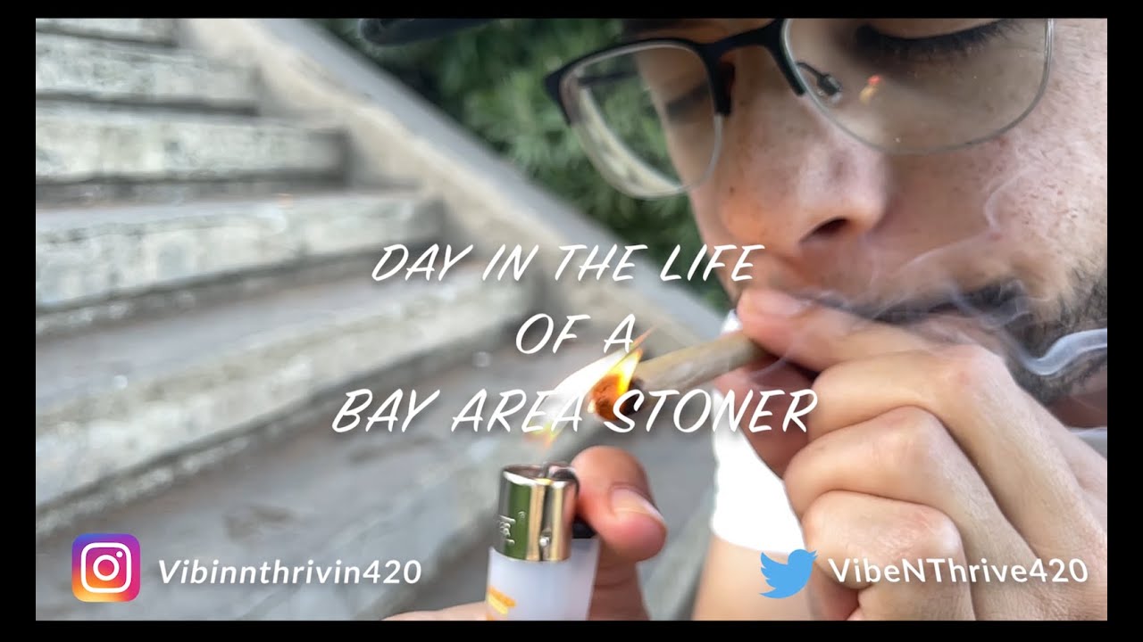 A DAY IN THE LIFE OF AN SF STONER