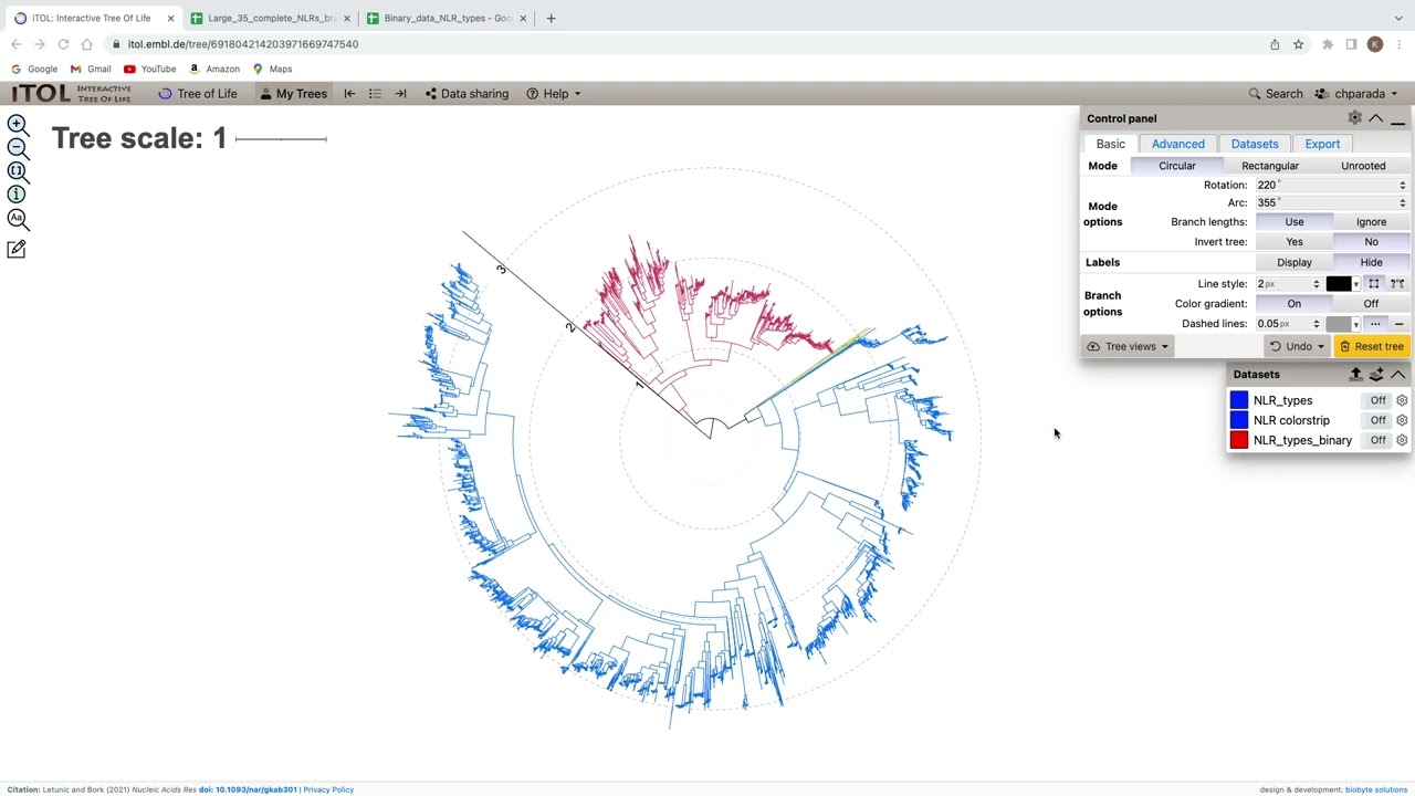 Phylogentic tree tutorial