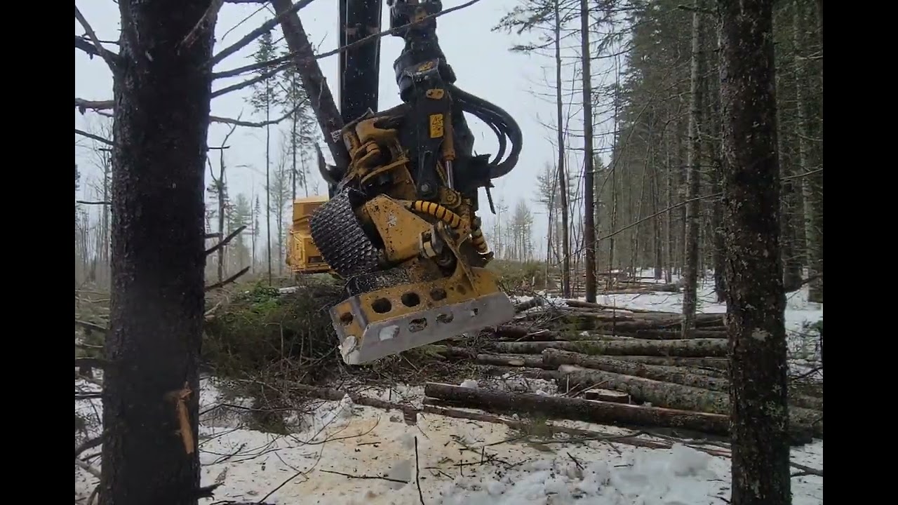 Tigercat 570