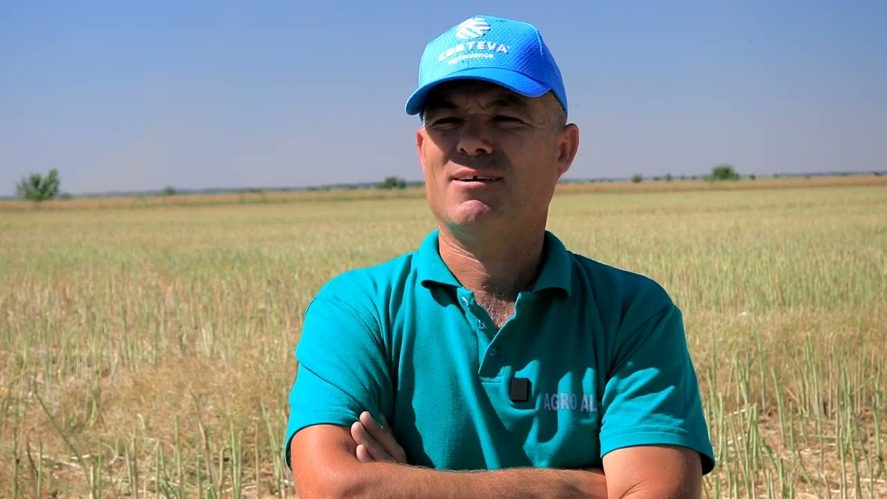 PT303 & PT314 - Testimonial Adrian Constantin despre hibrizii de rapita din ferma Agro Aldecon Buzau