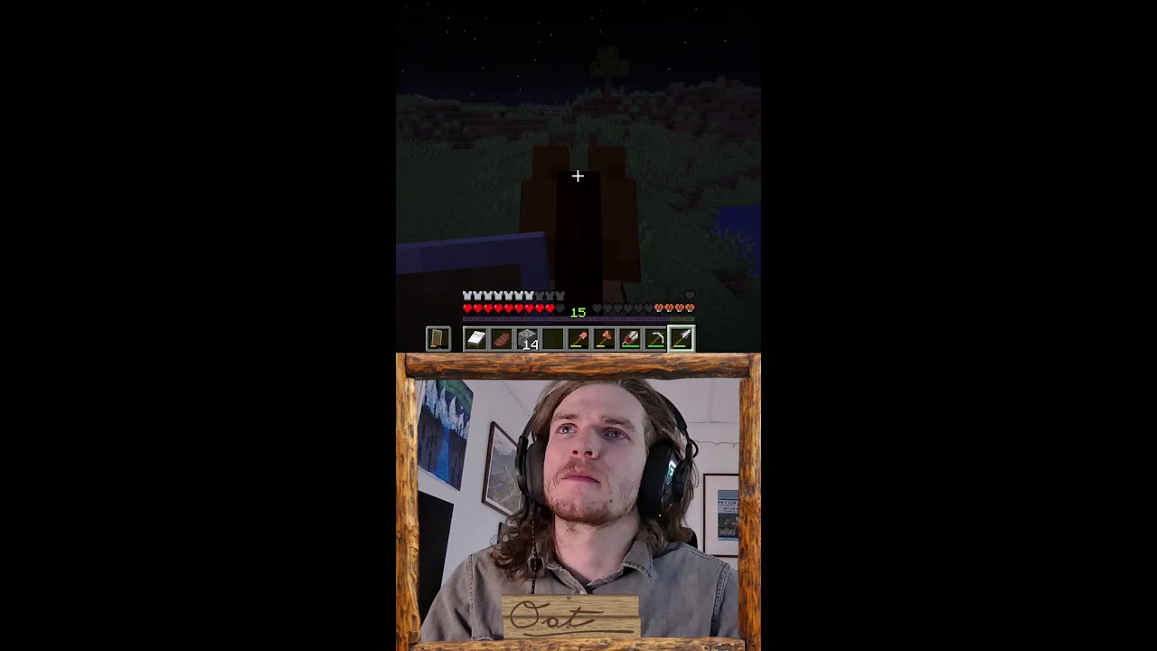 Vertical Minecraft Chill Stream