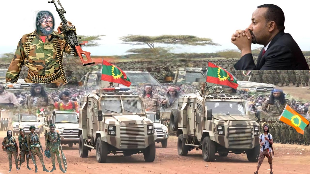 ODUU Hatattama Injifannoo Gootichaa Waraana Bilisummaa Oromoo fi Gaddaa motummaa kuno Moha News