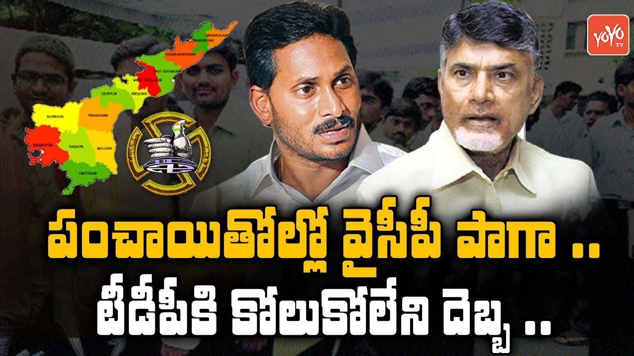 AP Panchayat Election Results | AP Local Body Election Results | YSRCP Vs TDP | AP Politics |YOYO TV