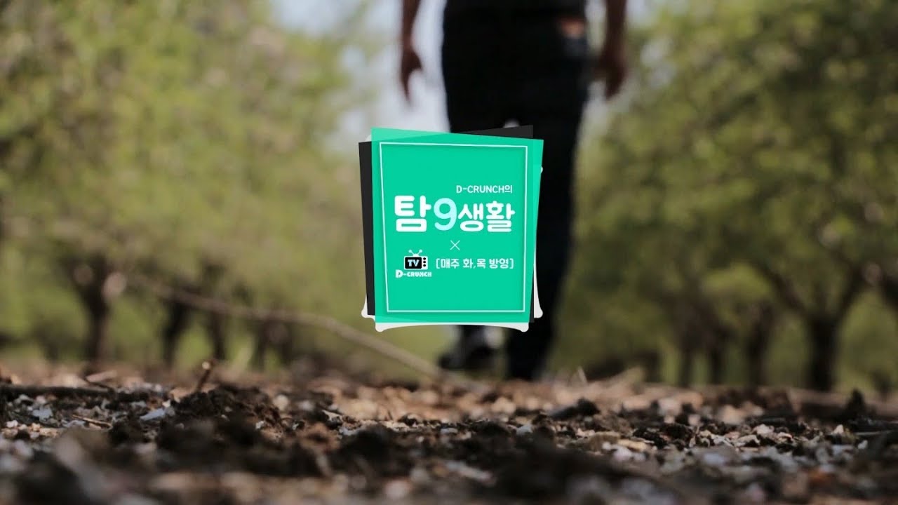D-CRUNCH(디크런치) - 탐9생활 일산편 #1