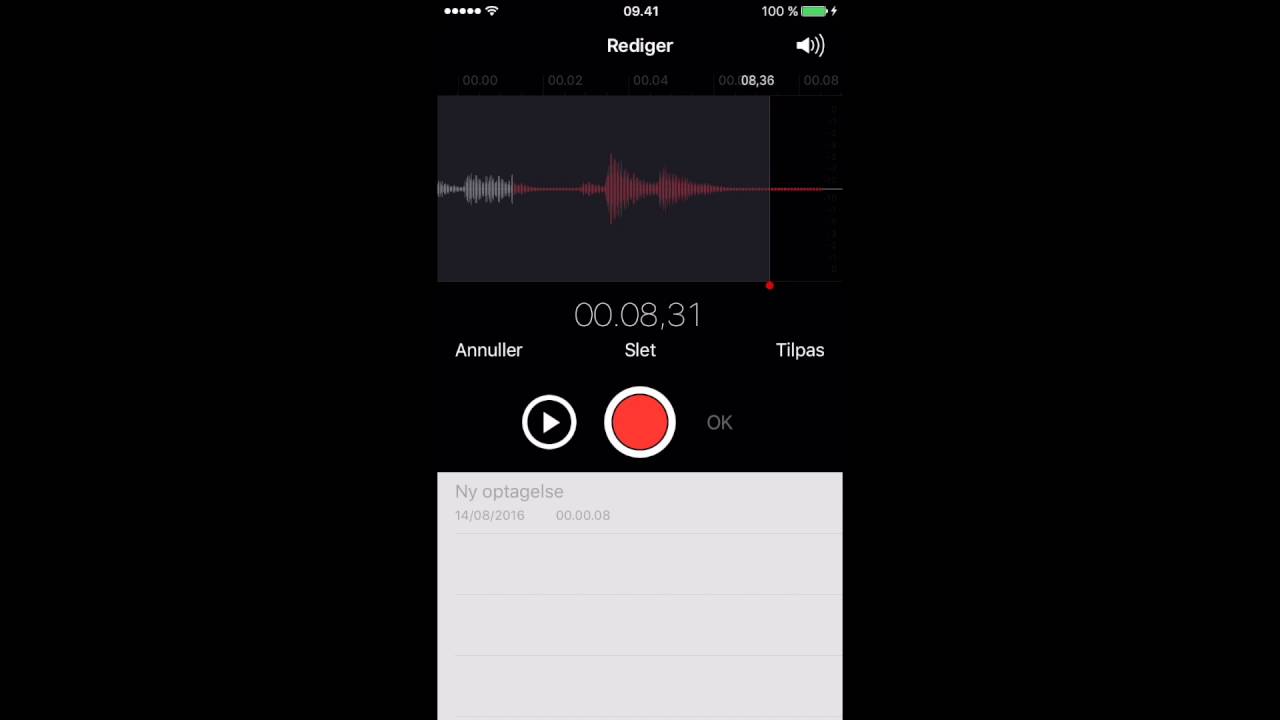 Memoer - Brug din iPhone som diktafon - Ordtavlen
