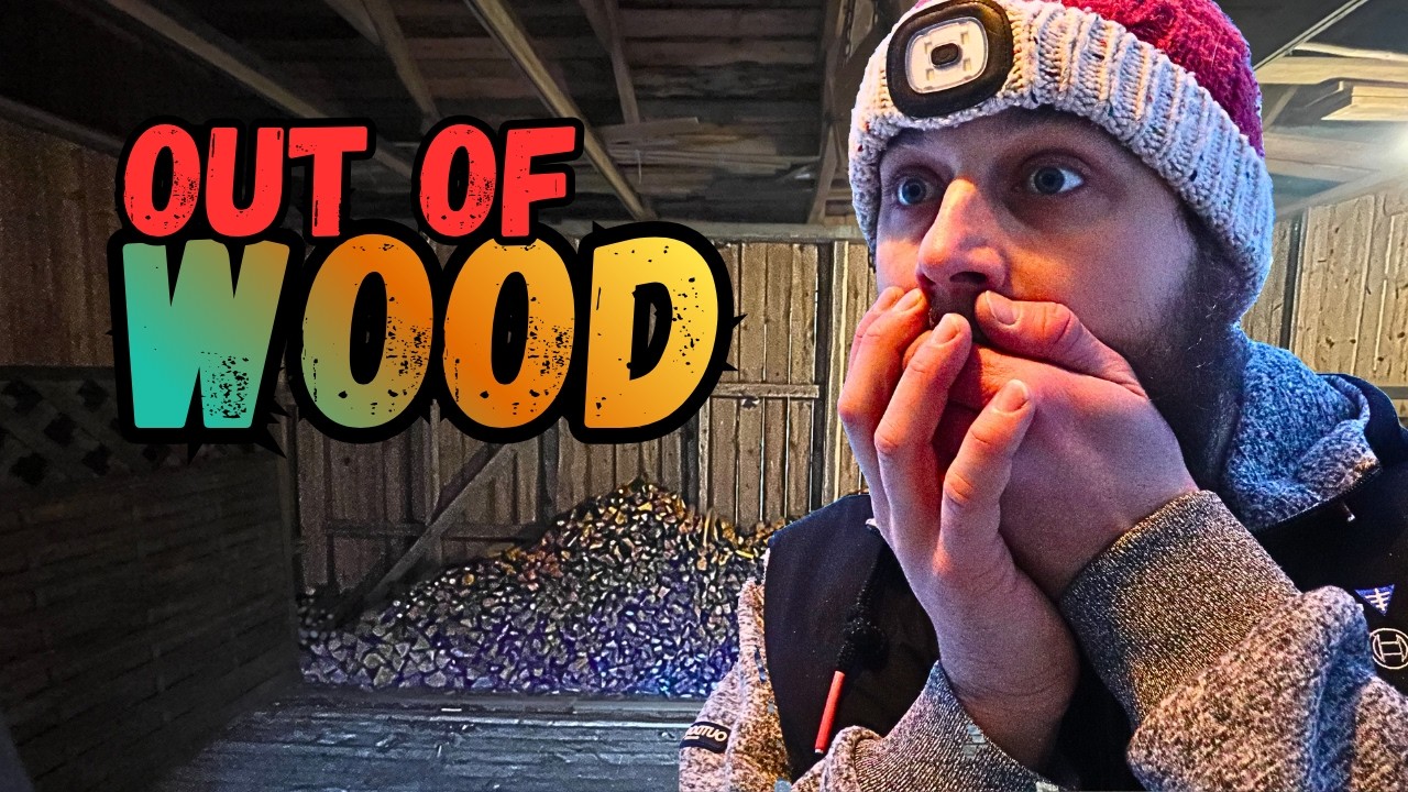 I Ran Out of Firewood in the Middle of a Swedish Winter! How Much Did It Cost 🇸🇪