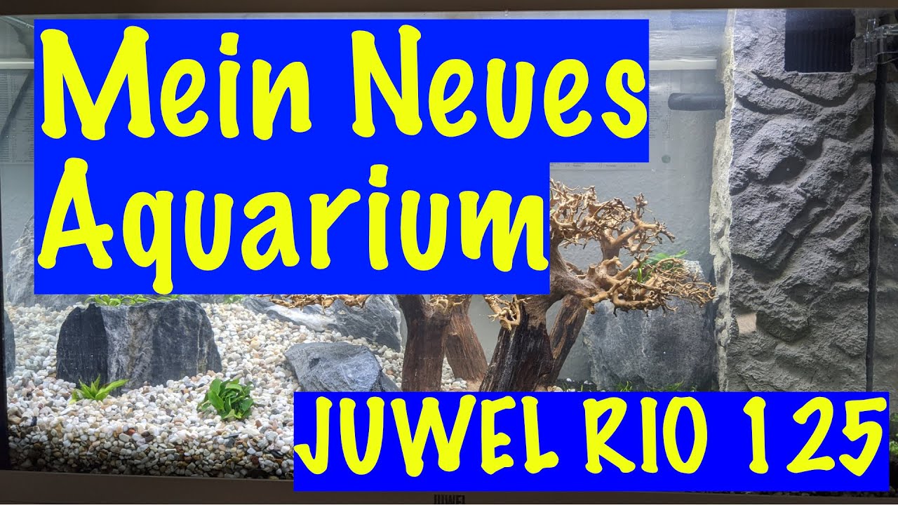 Aquarium Juwel Rio 125 einrichten mit Lara 1/2