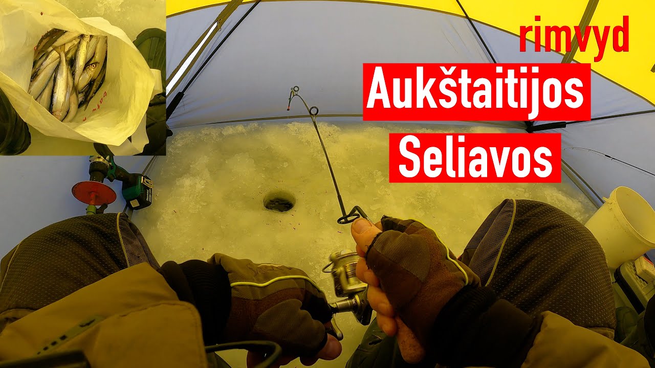 Auk&scaron;taitijos seliava
