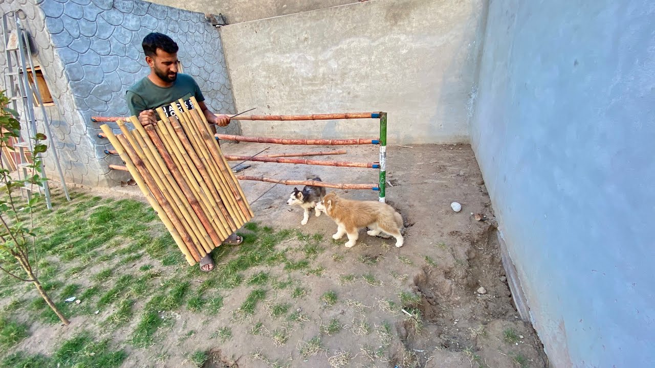 Ramzan Bhai Adha Adhora Kam kr k bhag Gea🤣