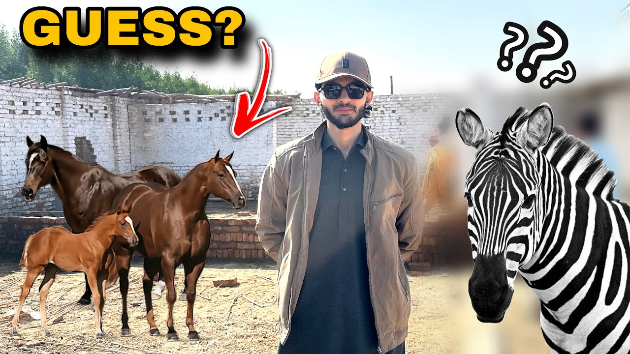 GUESS THE ANIMAL 😍? | New cage ka kaam start😻