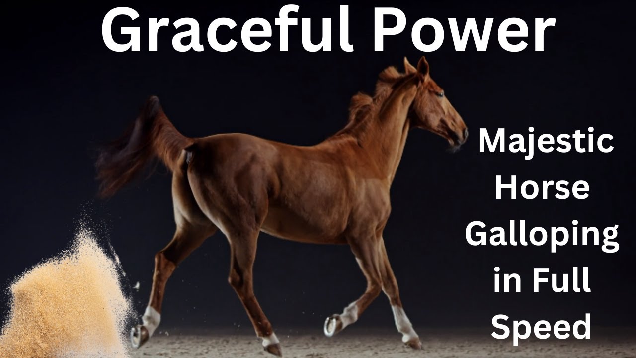 Graceful Power: Majestic Horse Galloping in Full Speed