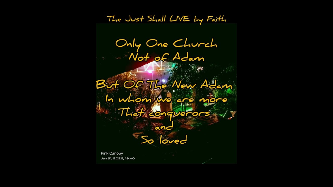 Renewal NOW:The Just Shall Live by Faith