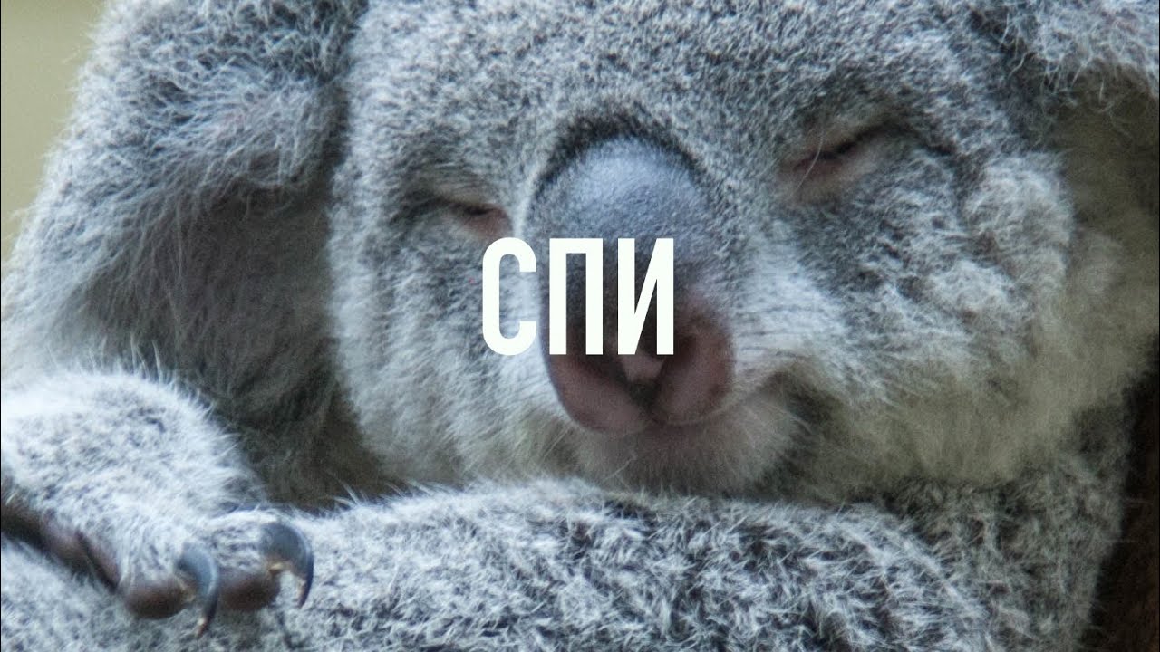 ТЕМНЫЙ ЭКРАН | Не можешь уснуть? Включи на всю ночь Библию!