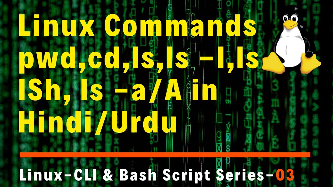 Linux pwd, cd, ls, ls -l ,ls -lSh, ls -a/A Commands Explained in Hindi/Urdu
