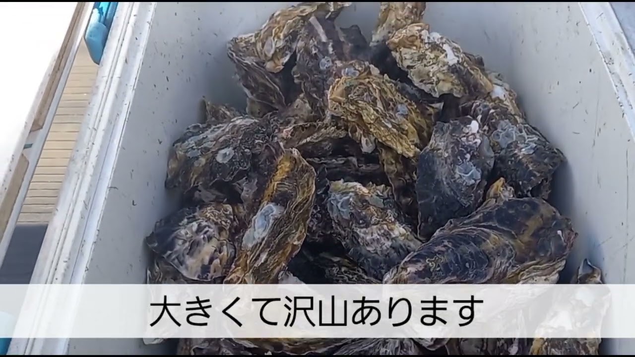 頑張っているおじさん達パート81　牡蠣を食べる会令和8年版
