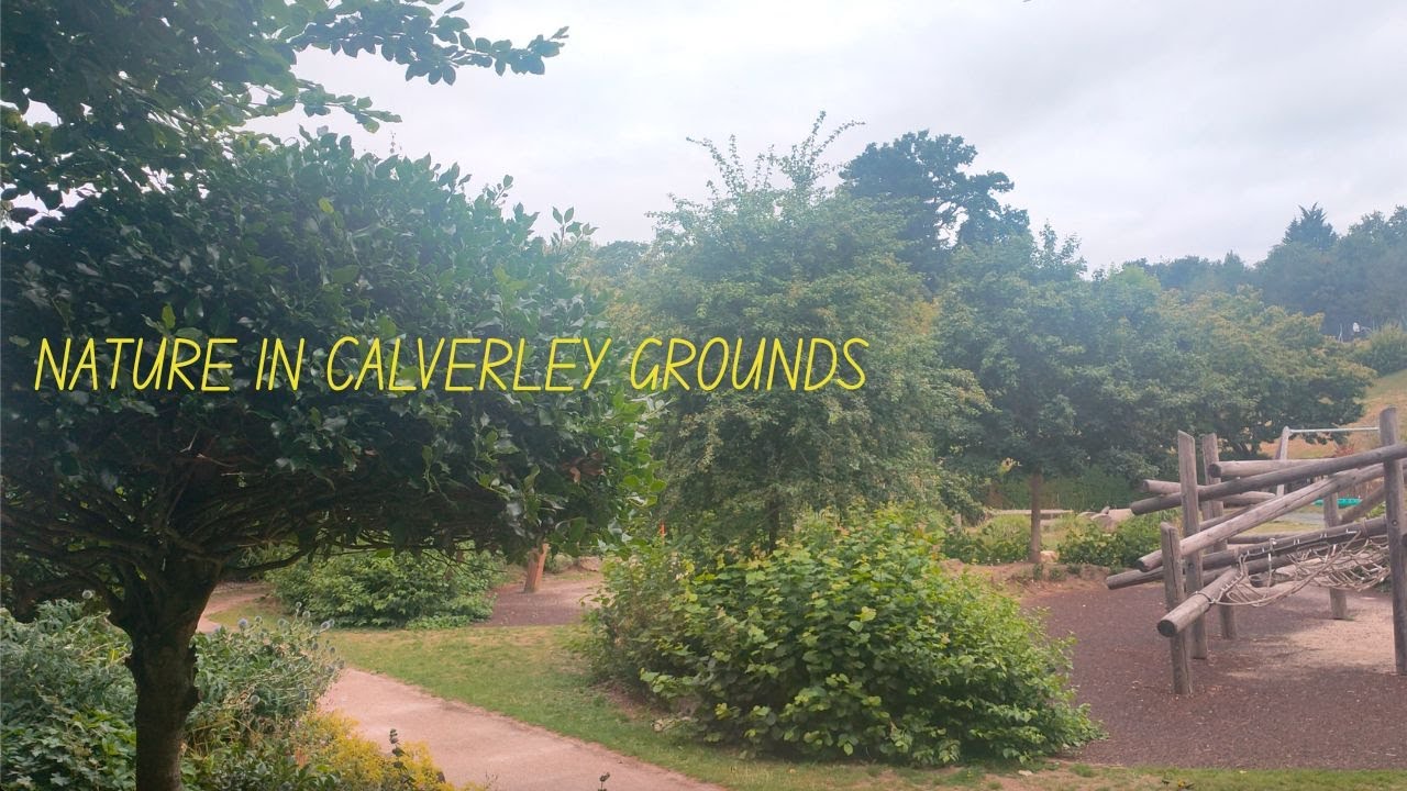 Appreciating nature in Calverley Grounds - Tunbridge Wells