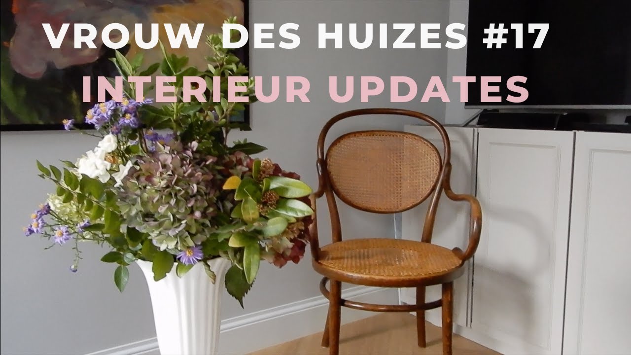 UPDATES THUIS EN VERKNIPTE PONY - VROUW DES HUIZES 17