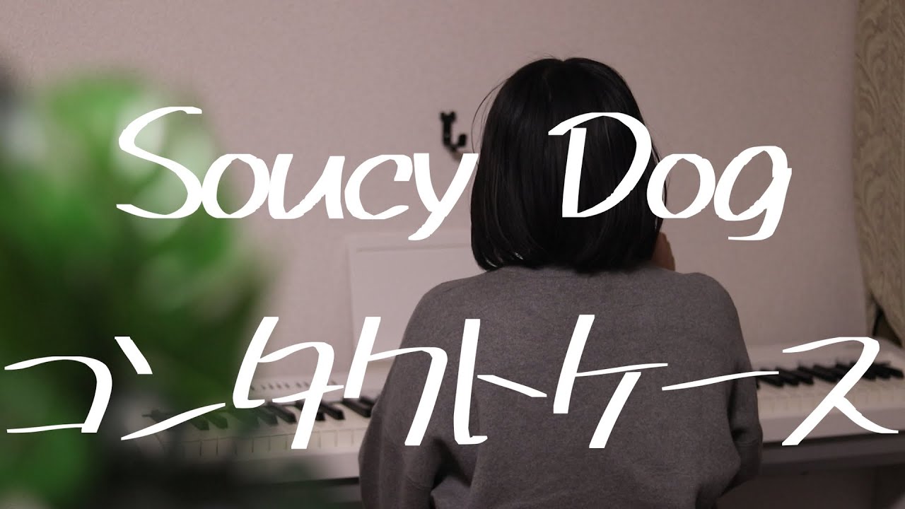 コンタクトケース/SoucyDog【軽井沢別荘計画cover】