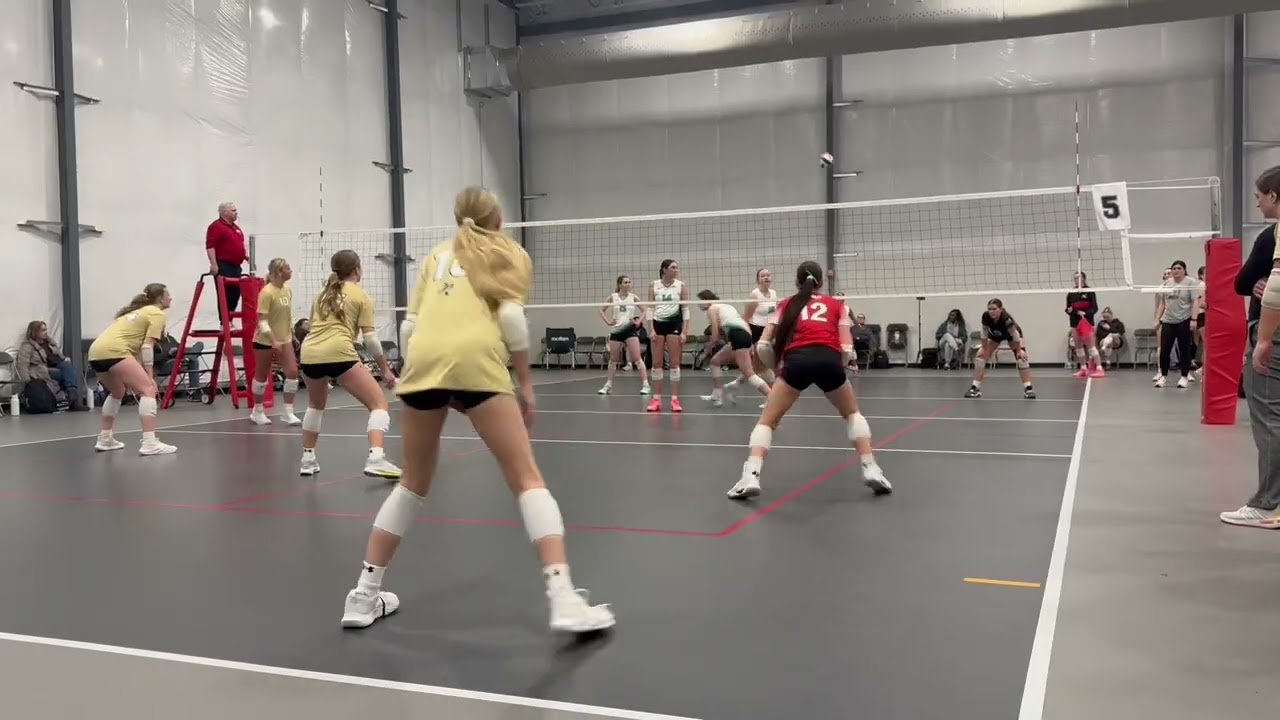 Recent Highlights 