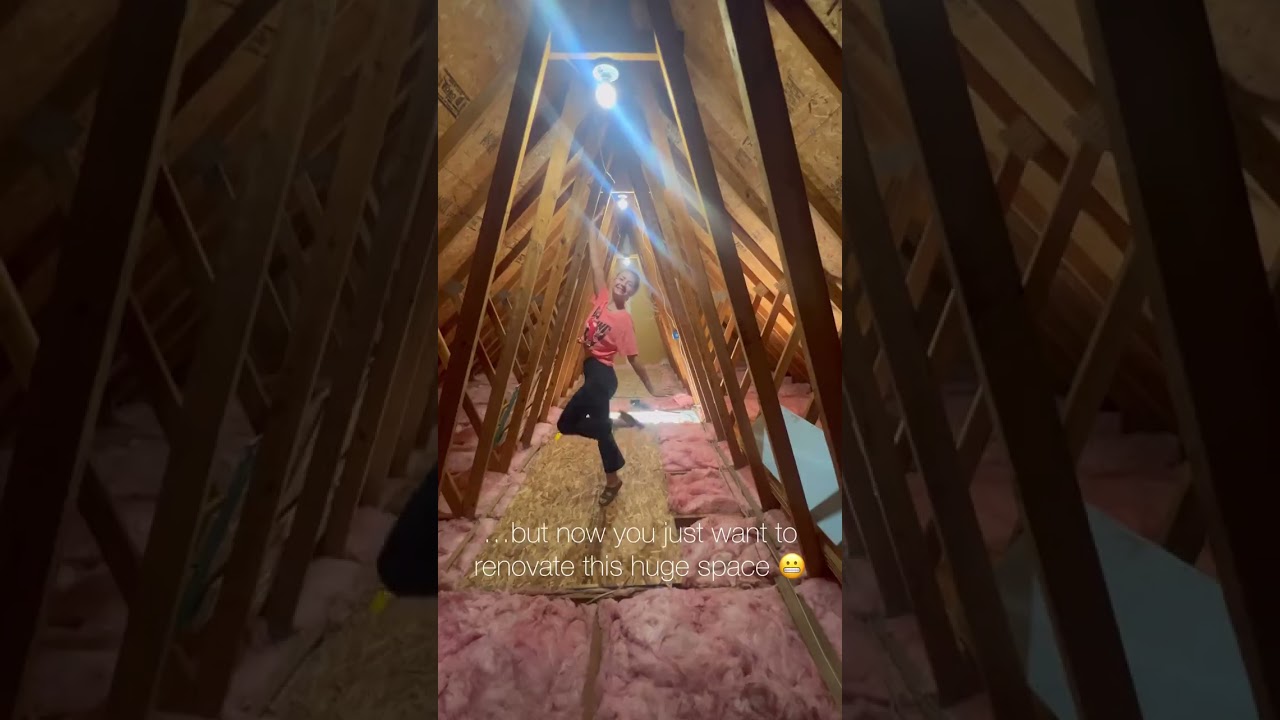 What would YOU do with all this attic space?! Stay tuned for more of our garage renovation! Check