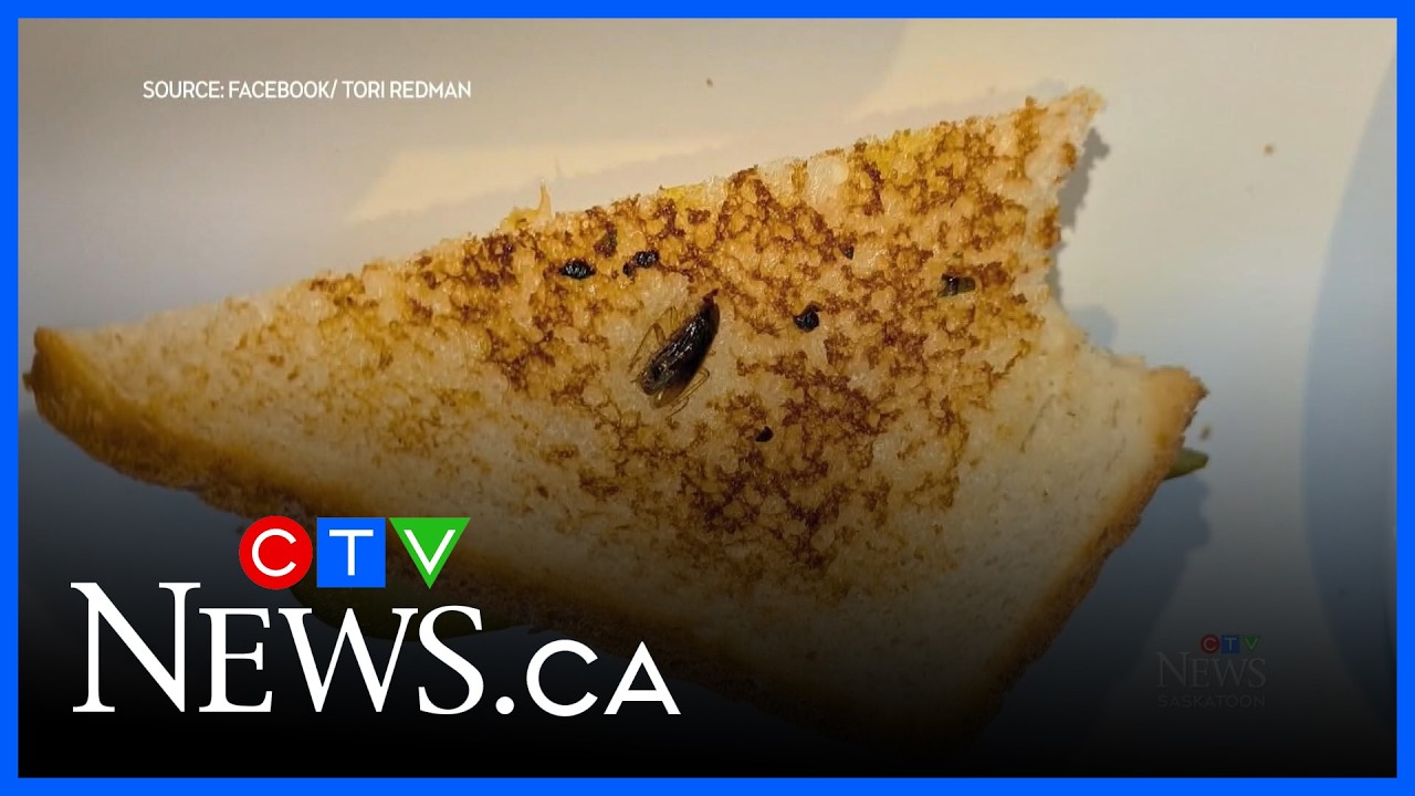 Saskatoon woman finds cockroach on her diner sandwich