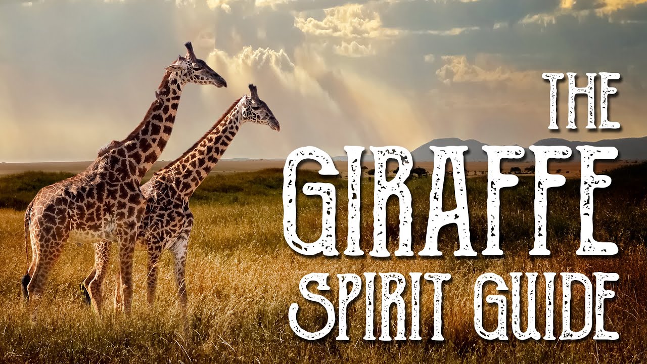 Giraffe Spirit Guide - Ask the Spirit Guides Oracle Totem Animal - Power Animal - Magical Crafting
