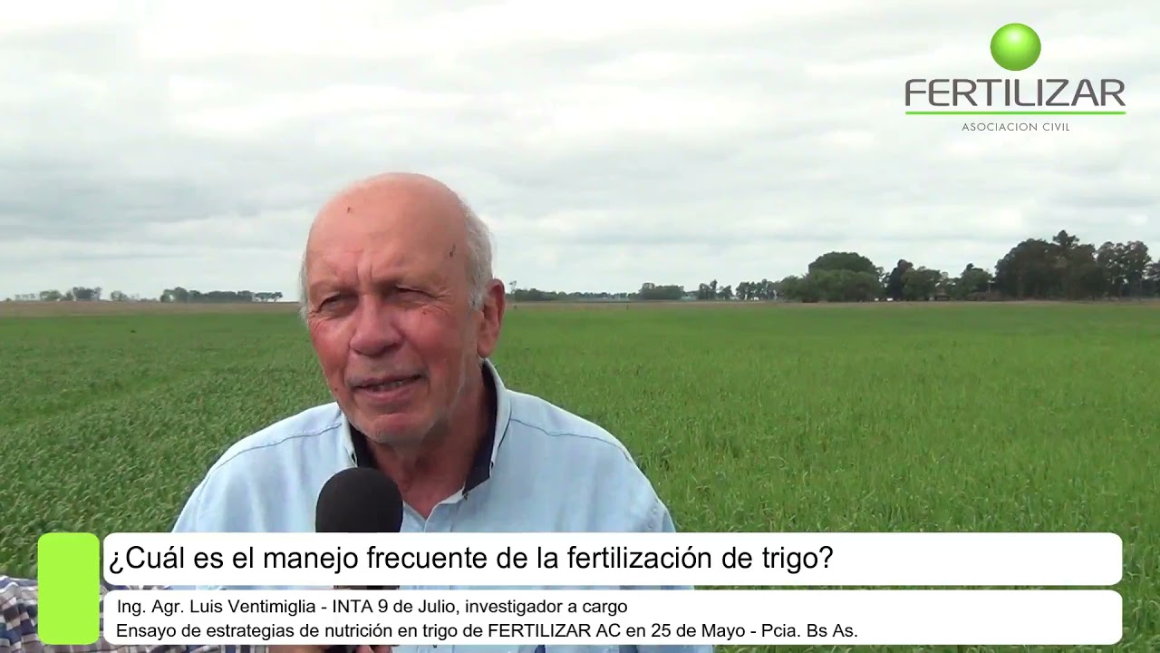 Claves para el manejo de la fertilizaci&oacute;n de trigo