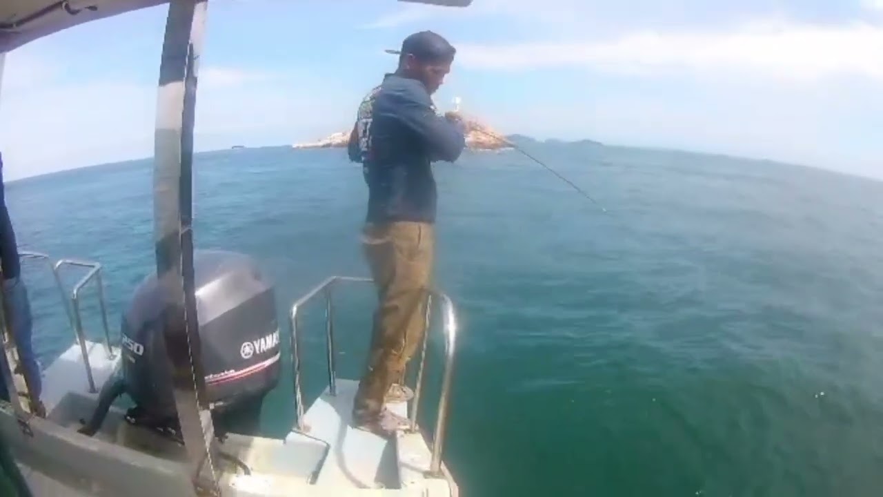 Barracuda strike....#ultralightfishing #pulausembilan