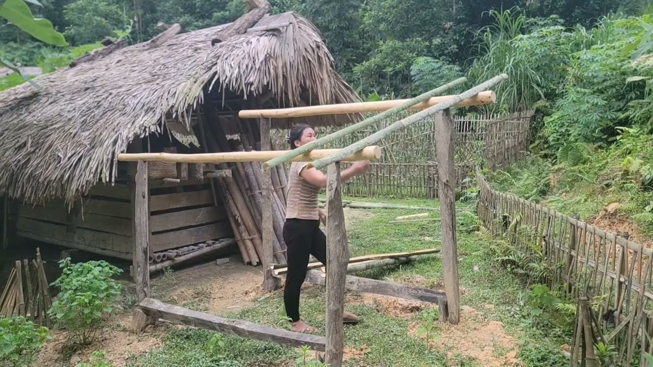 The girl designed a wood storage shed and built a place for dogs to give birth.