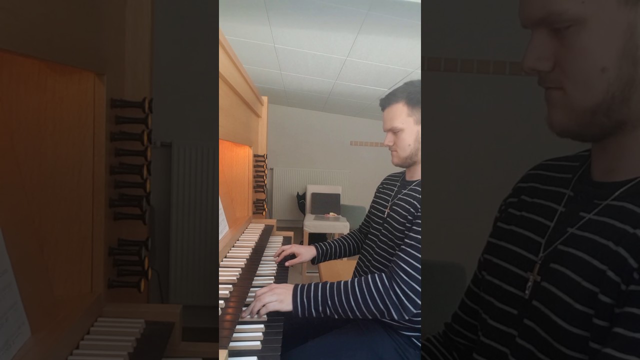 He lives in you (The Lion king 2) Organ