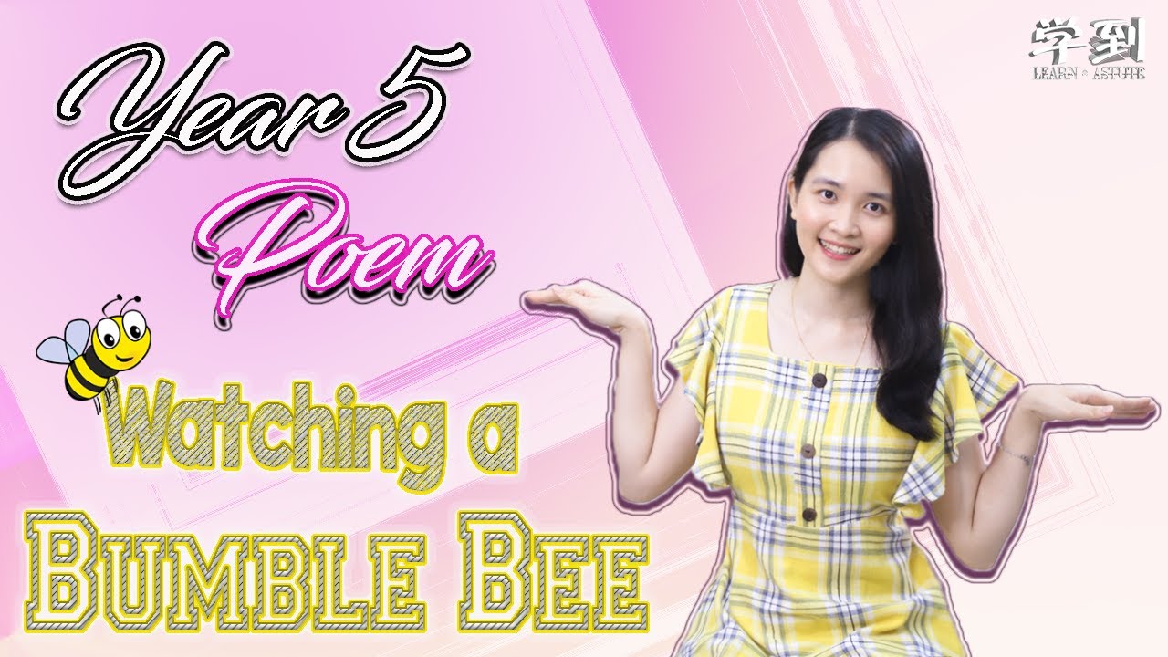 【ENGLISH YEAR 5】Poem: Watching a Bumble Bee by Wes Magee【学到】 | THERESA