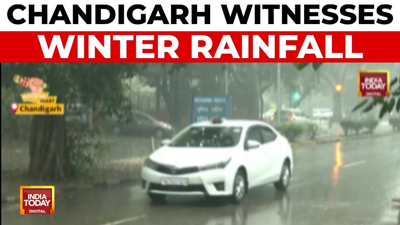 Mid-Winter Rain Begins In Chandigarh As Temperature Dips And Cold Grips Punjab | India Today