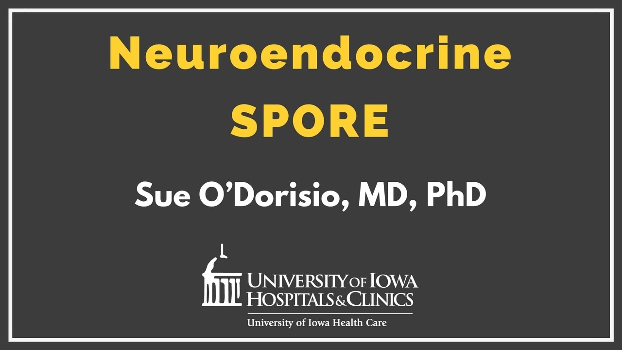 Neuroendocrine SPORE at the University of Iowa