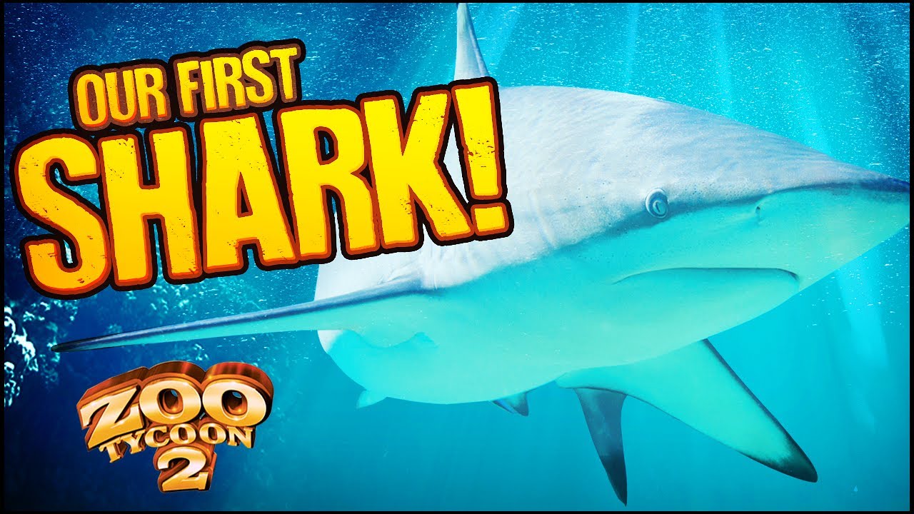 Zoo Tycoon 2: The Aquarium | REEF SHARKS & WOBBEGONGS (Aquarium Part 6)