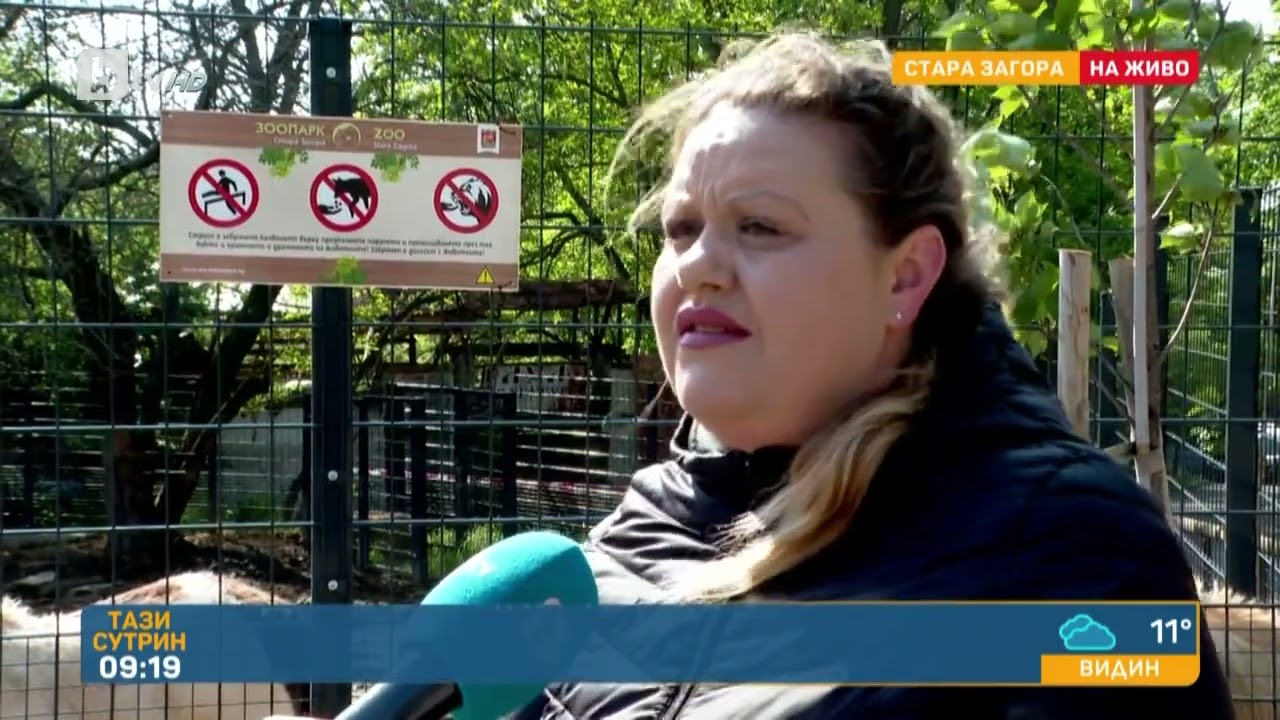 Жената, чиито пръсти бяха отхапани от пони: Изведнъж ме захапа, не съм очаквала | „Тази сутрин“–БТВ
