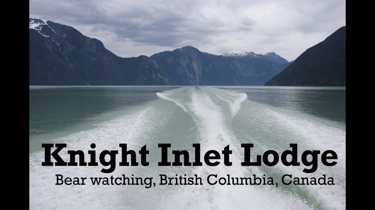 Knight Inlet Lodge Bear Viewing Vlog (British Columbia, Canada)