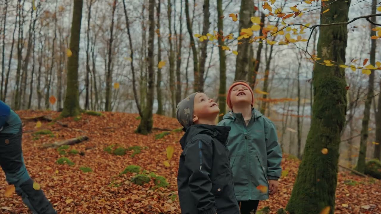 Bøkeskogen på Vollom i Alver