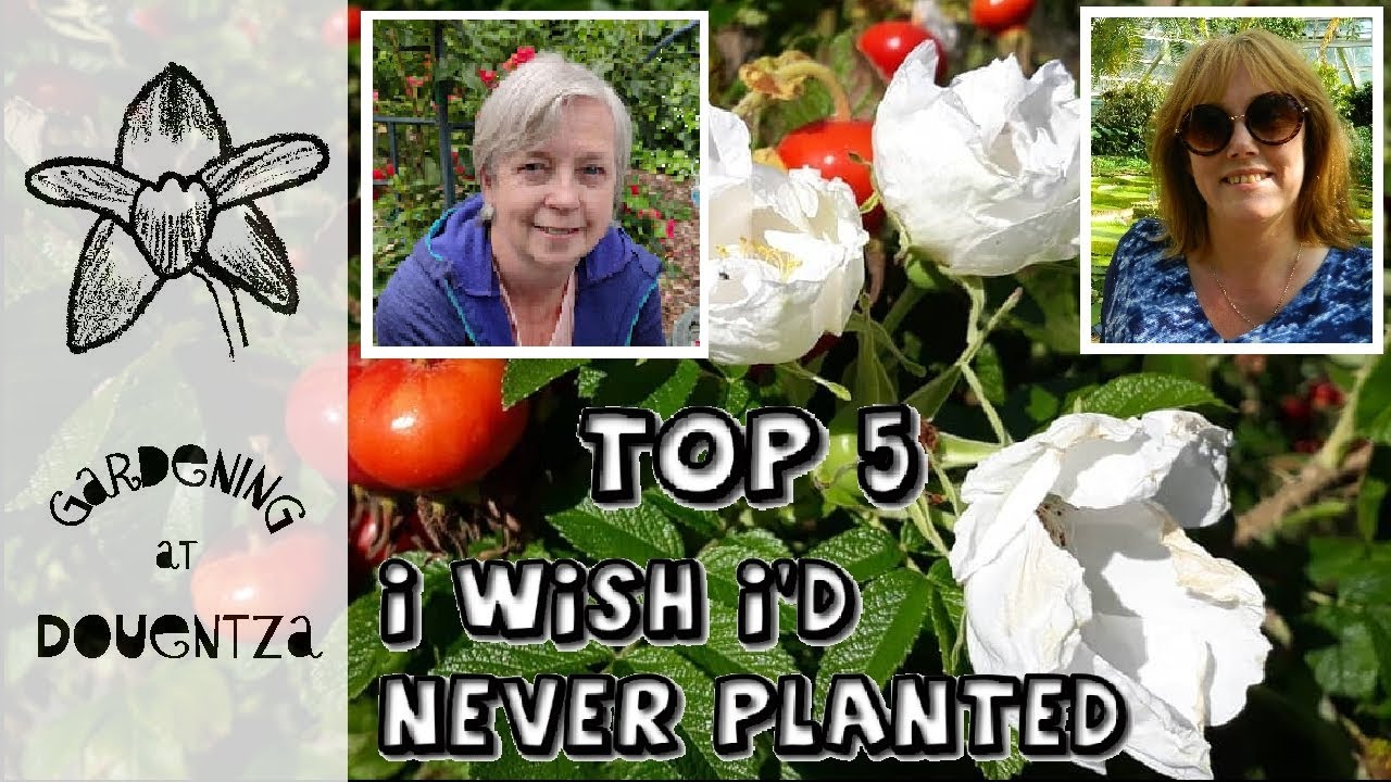 Top 5 Garden Plants I Wished I'd Never Planted || Collab with @GrannysGarden