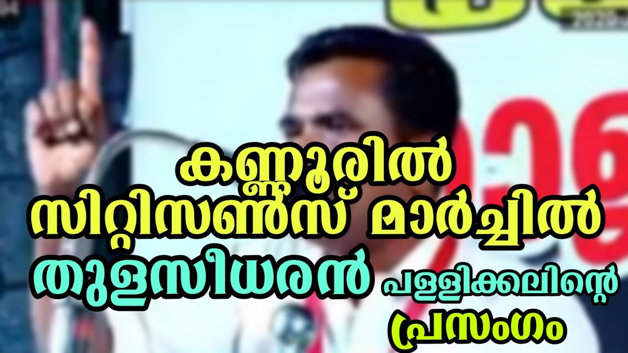 തുളസീധരന്‍ പള്ളിക്കലിന്റെ കിടിലന്‍ പ്രസംഗം | SDPI Citizens March | Kannur | Thulaseedharan speach