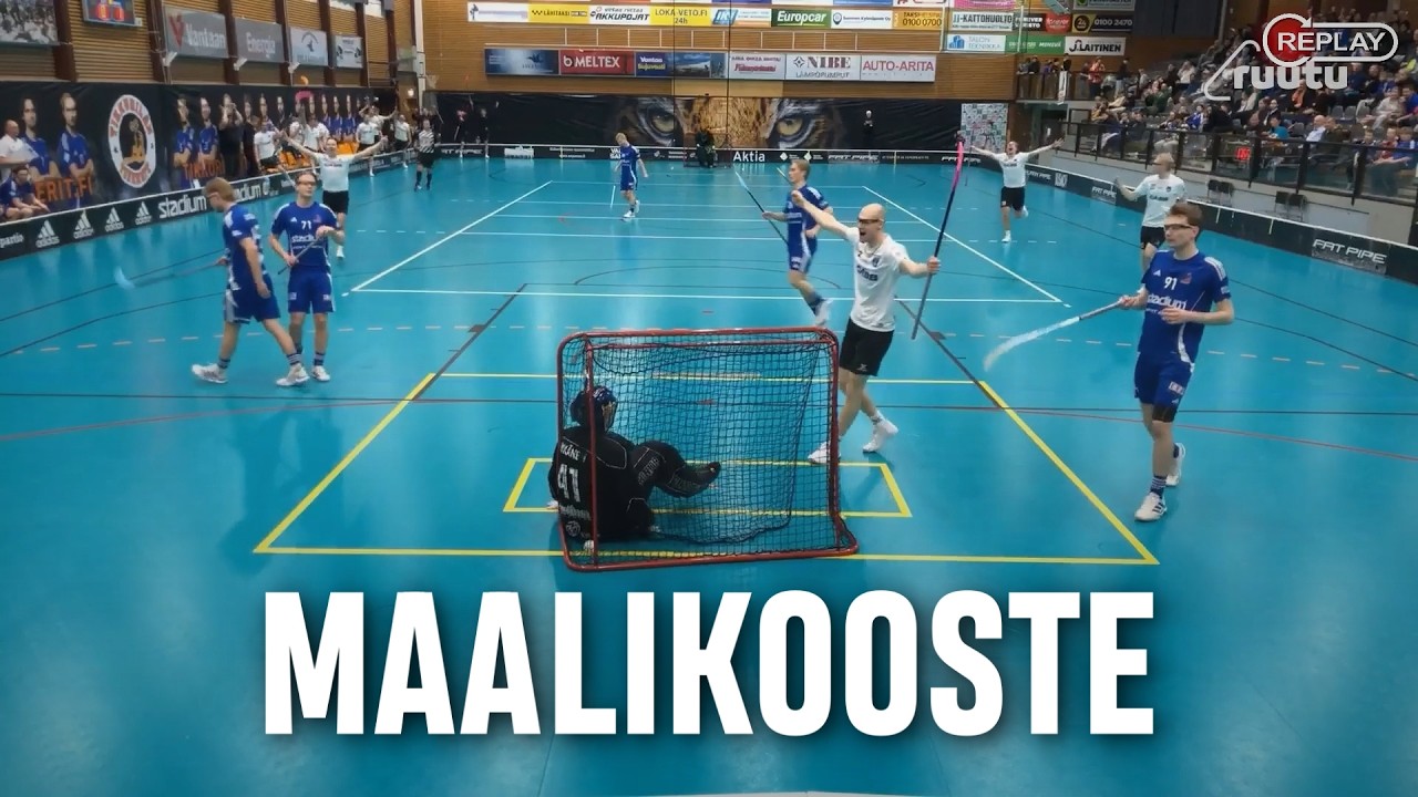 Maalikooste: Tiikerit - Nibacos (Inssi-Divari M)