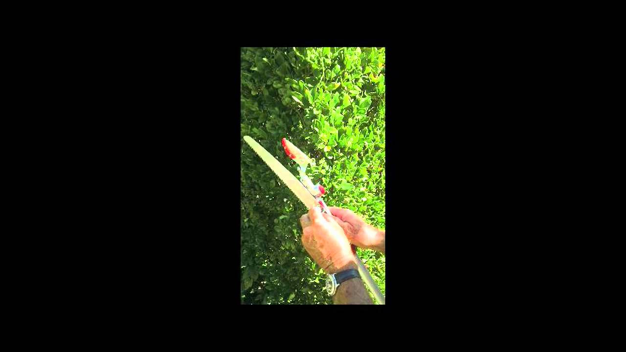 Telescopic Cut and Hold Pivot Head Pruner