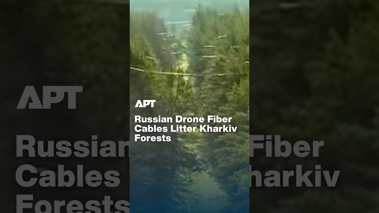 WATCH: Russian Drone Fiber Cables Litter Kharkiv Forests | APT