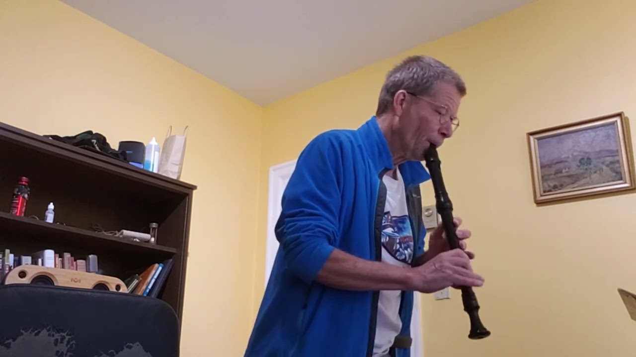 Comparing recorders: 1) Denner - boxwood, 2) Stanesby - resin 3) $20 EMUS plastic made in China