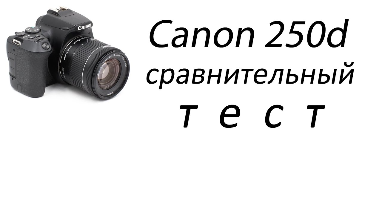 Canon 250d – большой тест