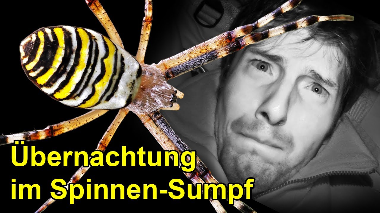 Hab im Sumpf voller Spinnen übernachtet! Das ist passiert